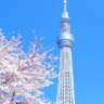ともきん。